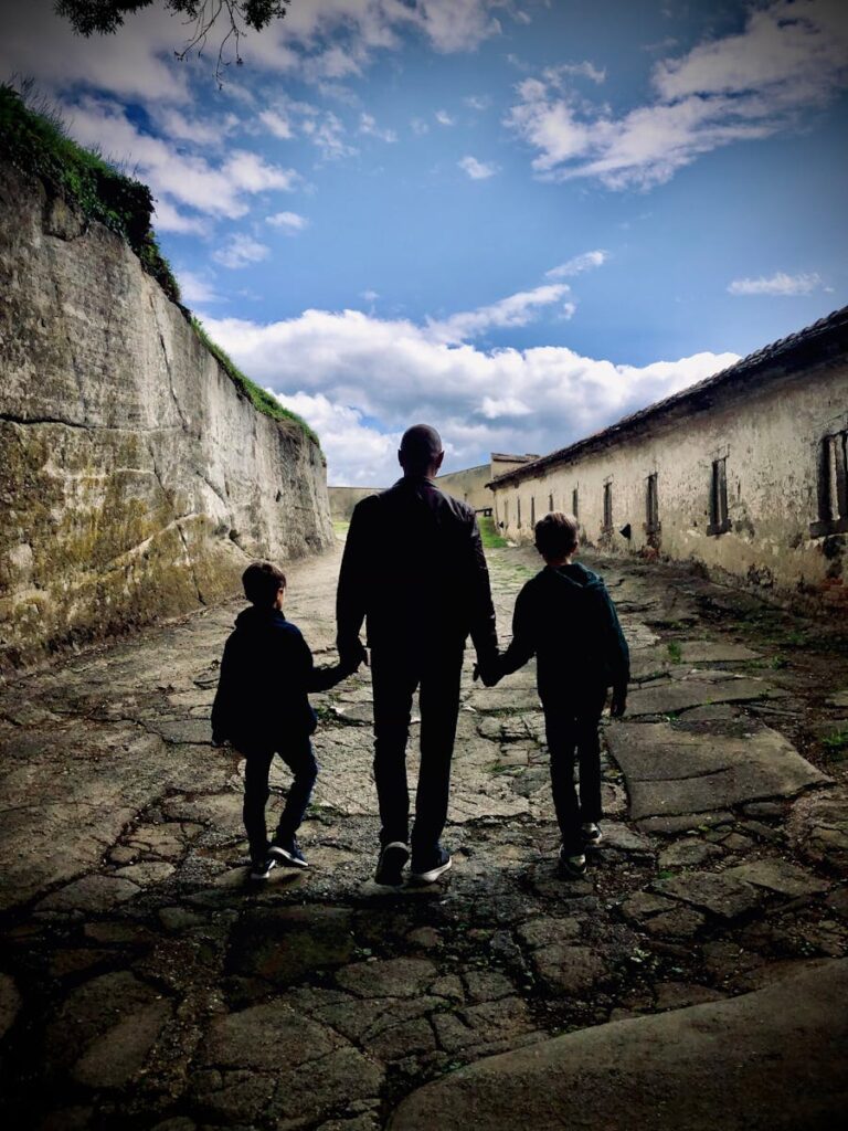 Silhouette of a Man and Kids Walking While Holding Hands